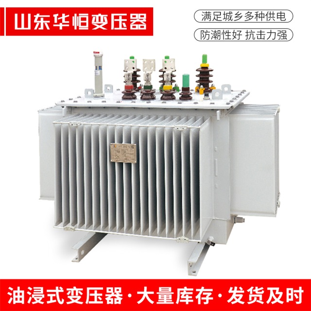 S13-10000/35德宏德宏德宏电力变压器